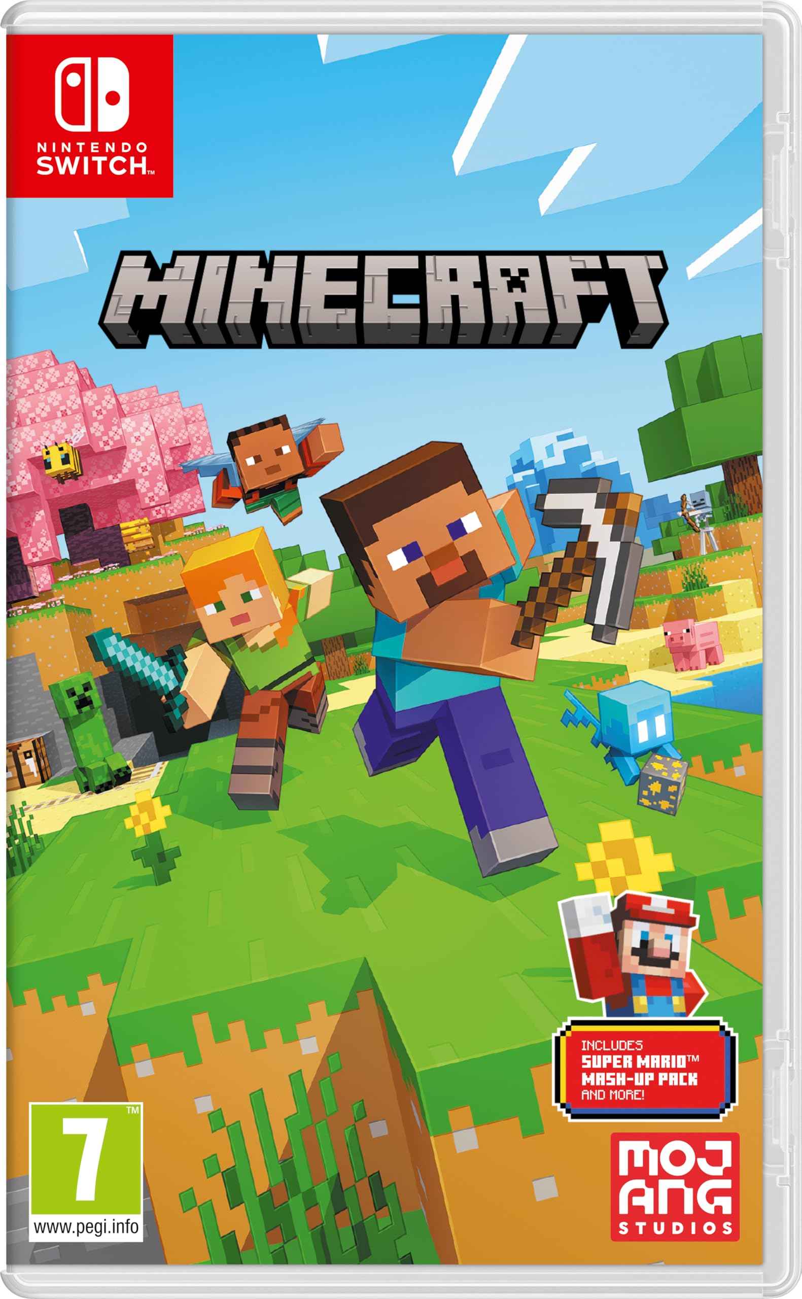 Minecraft Nintendo Switch