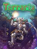 Terraria Steam Account